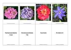 Blumen-Memo-Aufdeckspiel-6.pdf